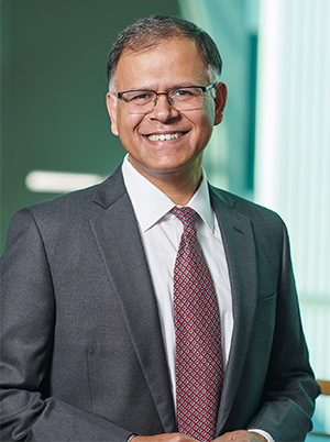 Sundar Raman, Global CEO of fabric <br>home care unit, Procter & Gamble 