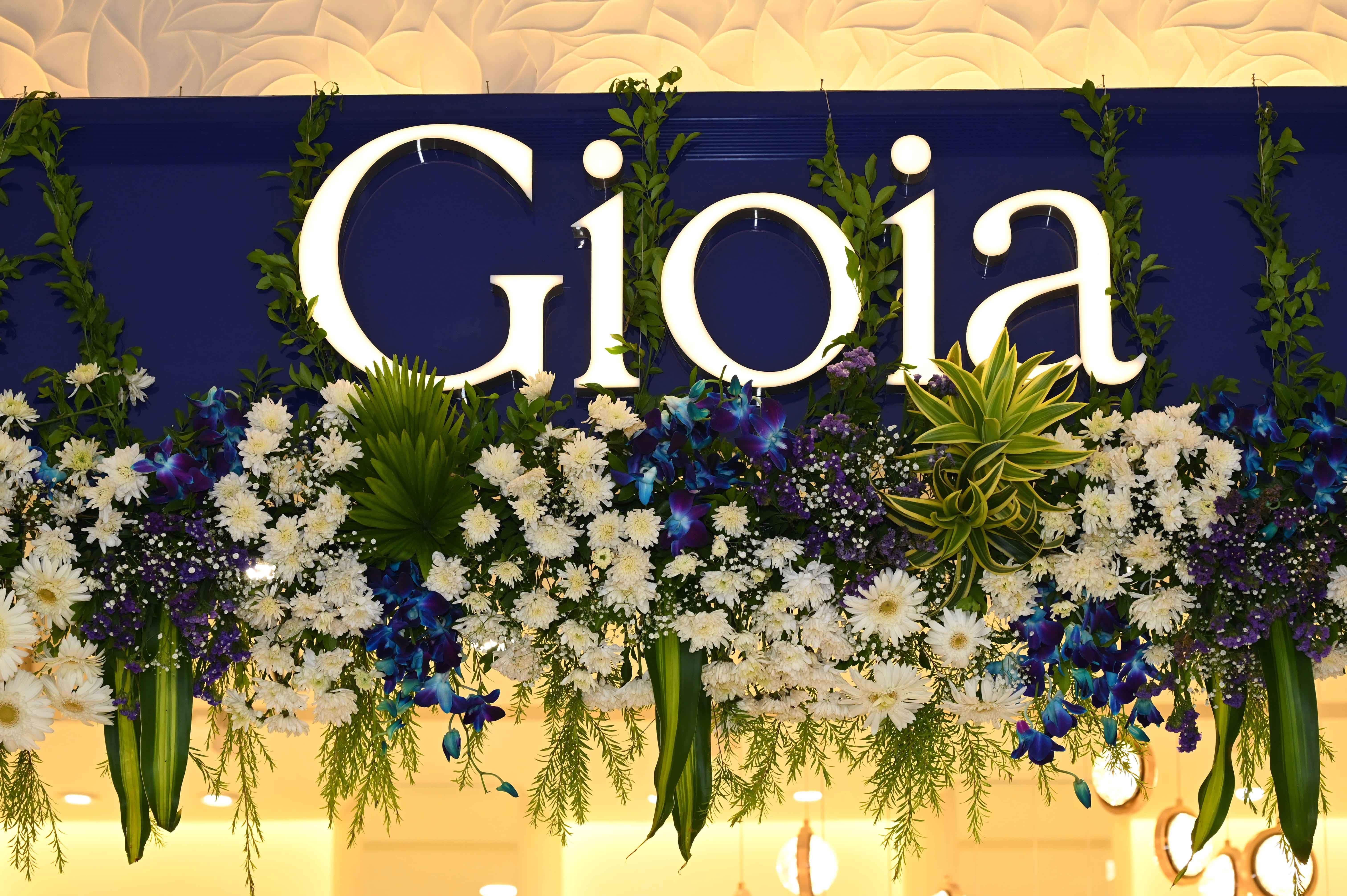 gioia store pic