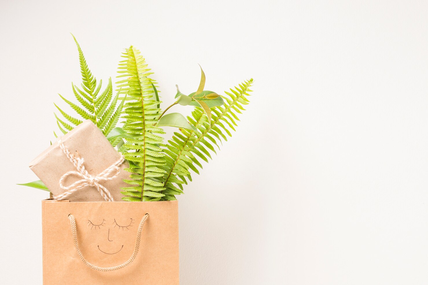 brown paper bag with fern leaves gift box against white backdrop
