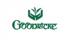 Goodricke Tea launches its first direct-to-consumer website