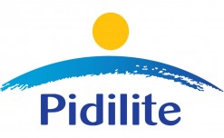 Pidilite Industries announces acquisition of majority stake in CIPY Polyurethanes