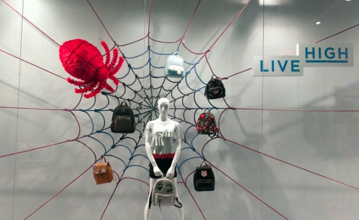 Lifestyle: Caught in the web!