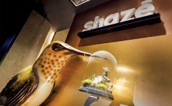 Shaze – Weaving A Lifestyle Story Around A Bird’s Nest