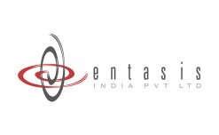 Entasis completes 20 years as retail solutions provider