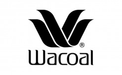 Japanese lingerie brand Wacoal to step up store presence in India