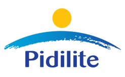 Pidilite Industries reports 58% YOY growth in PAT at Rs 346 crore in Q3 FY20