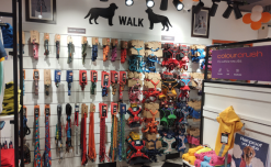 Pet care brand’s 25th store shows interesting trend