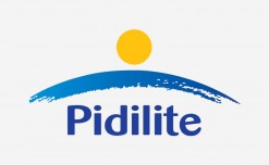 Pidilite appoints Sudhanshu Vats as MD