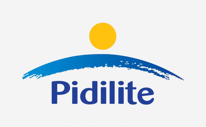 Pidilite appoints Sudhanshu Vats as MD
