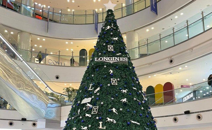 India's first 33ft Longines Christmas Tree at DLF Mall of India
