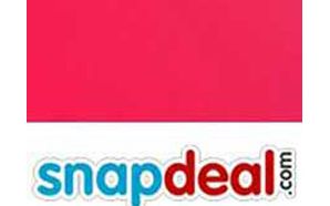 Snapdeal founders to invest more in TinyOwl