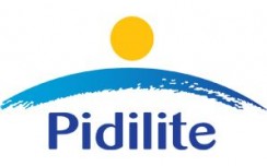 Pidilite Industries show decent performance in challenging environment