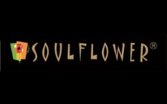Soulflower to expand its retail distribution to 6000 local stores, retail and phrama outlets