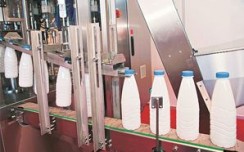 Britannia mulls expansion of dairy business