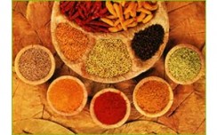 Suguna Foods enters masala market