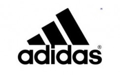 Adidas wants both fully owned stores, franchises in India