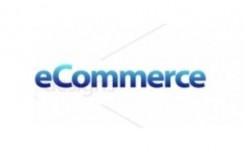 Company-owned e-commerce business yet to gain scale