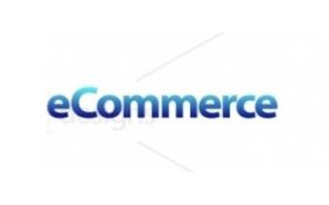 Company-owned e-commerce business yet to gain scale