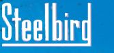 Steelbird to launch 200 exclusive stores across India 