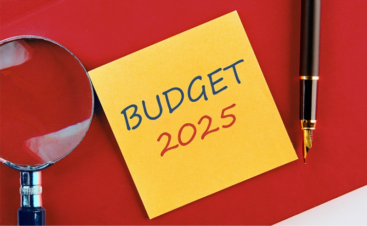 Union Budget 2025 throws the spotlight on consumption boost, MSMEs’ growth